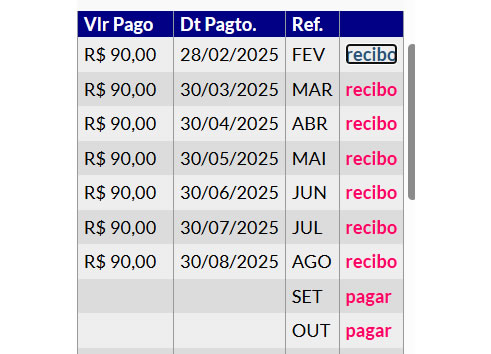 ajuda pix